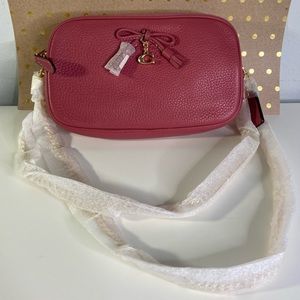 NWT Coach Crossbody Pouch Strawberry Color F67694